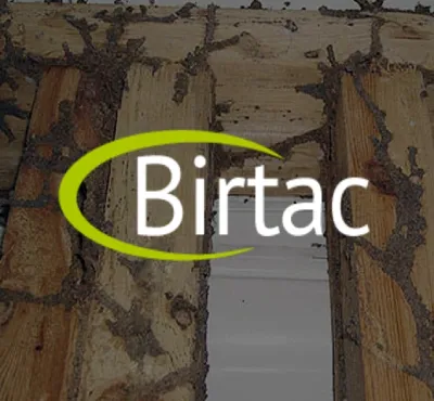 termitas Cancun, fumigaciones y control de plagas